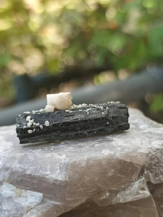 Ægyrine N13 des Etats-Unis - Pierre brute - Grade Prémium - Ægyrine pierre brute