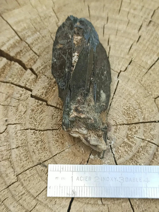 Ægyrine N15 des Etats-Unis - Pierre brute - Grade Prémium - Ægyrine pierre brute