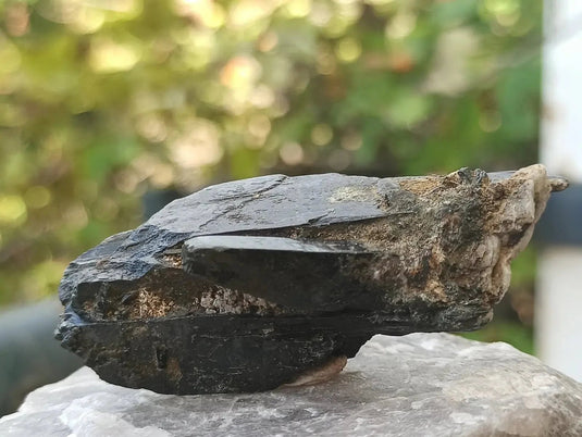 Ægyrine N15 des Etats-Unis - Pierre brute - Grade Prémium - Ægyrine pierre brute