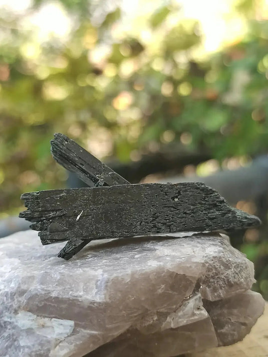 Ægyrine N16 des Etats-Unis - Pierre brute - Grade Prémium - Ægyrine pierre brute