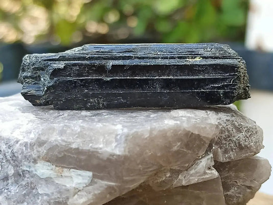 Ægyrine N2 des Etats-Unis - Pierre brute - Grade Prémium - Pierre brute