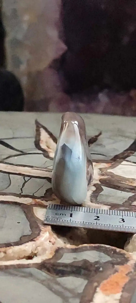 Agate du Botswana Afrique pierre roulée Grade A++++ Agate du Botswana pierre roulée