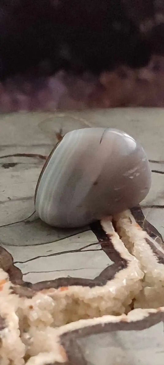 Agate du Botswana Afrique pierre roulée Grade A++++ Agate du Botswana pierre roulée