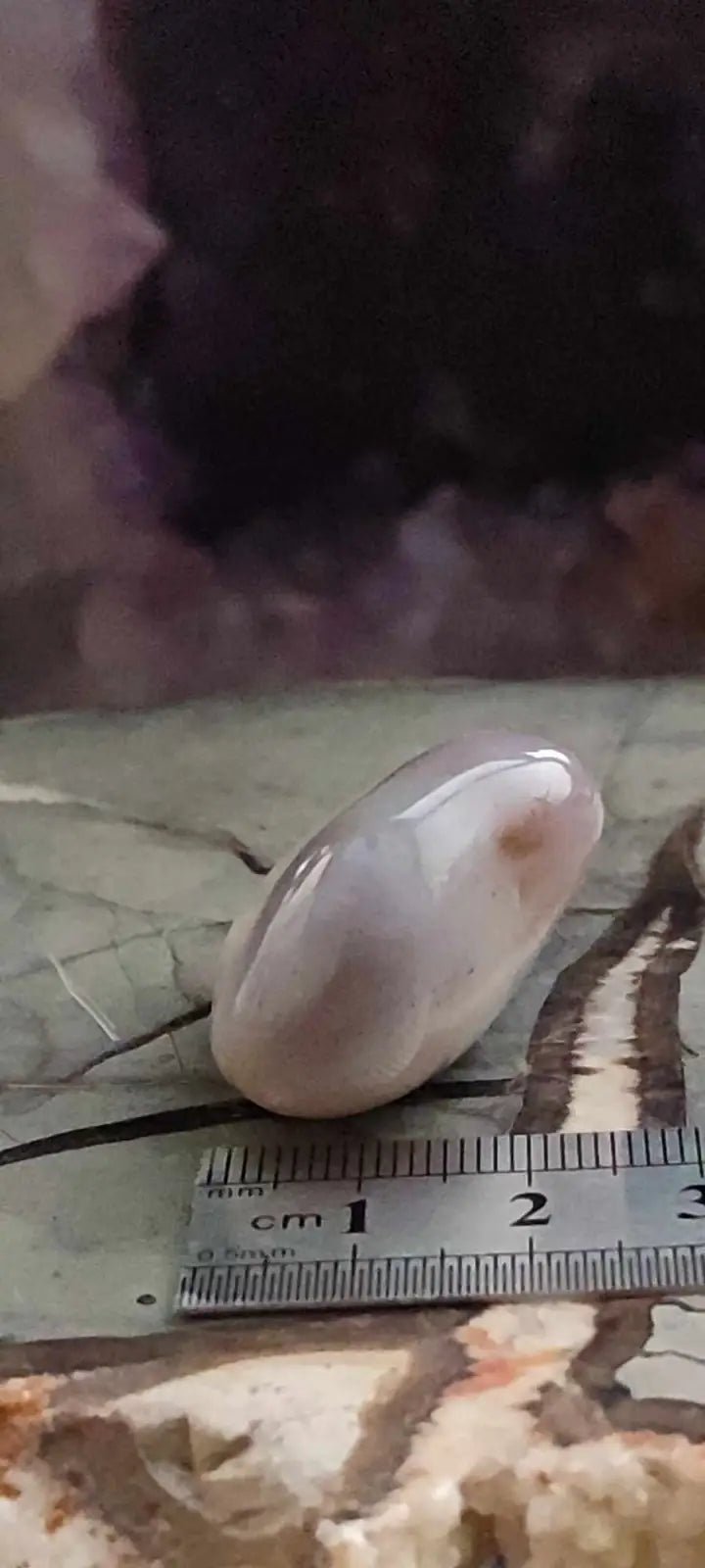 Chargez l&#39;image dans la visionneuse de la galerie, Agate du Botswana Afrique pierre roulée Grade A++++ Agate du Botswana pierre roulée
