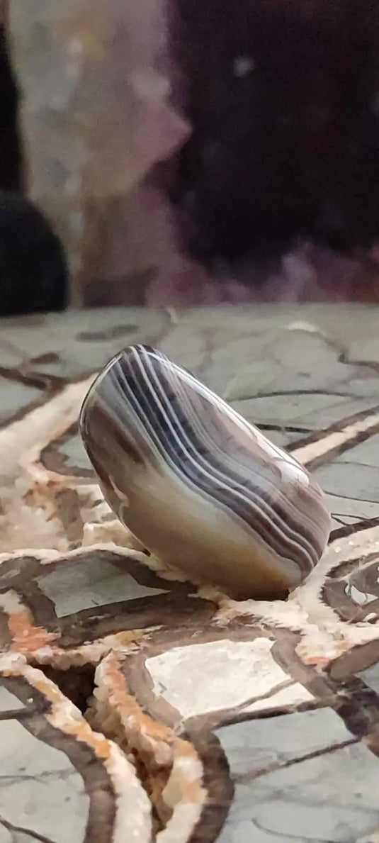 Agate du Botswana Afrique pierre roulée Grade A++++ Agate du Botswana pierre roulée