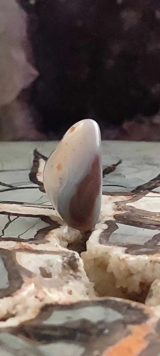 Agate du Botswana Afrique pierre roulée Grade A++++ Agate du Botswana pierre roulée