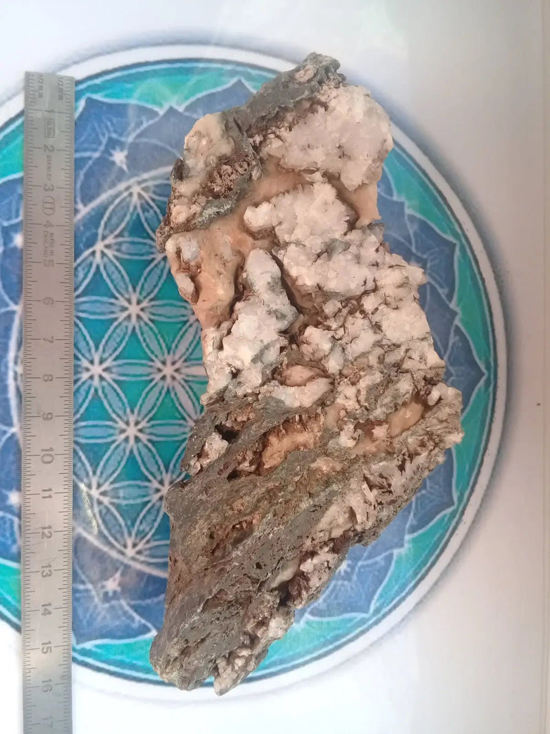 Load image into Gallery viewer, Agate mousse brute Grade A ++++ Agate mousse brute
