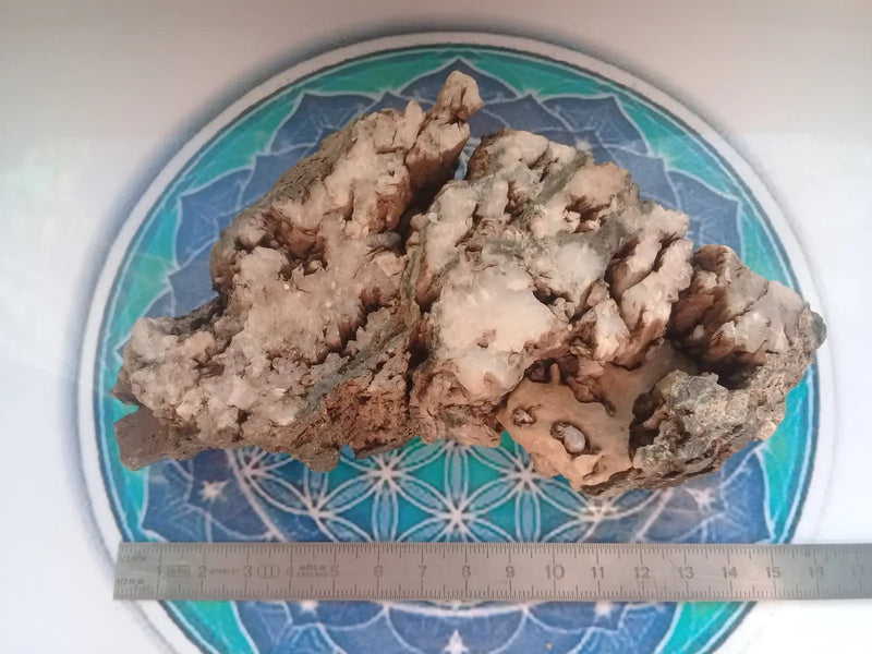 Load image into Gallery viewer, Agate mousse brute Grade A ++++ Agate mousse brute
