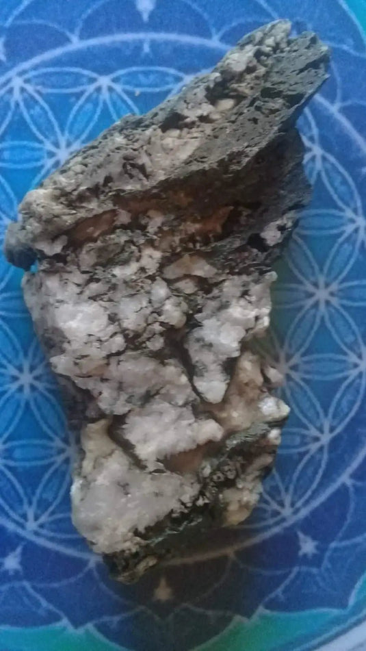 Agate mousse brute Grade A ++++ Agate mousse brute