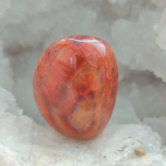 Agate Peau de Serpent N1, de l'Oregon : Pierre roulée, vue de dos dans géode de Quartz