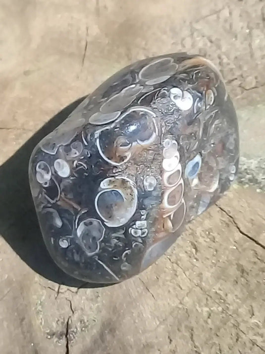 Agate Turitelle d’Urtuguay pierre roulée Grade A++++ Agate Turitelle pierre roulée