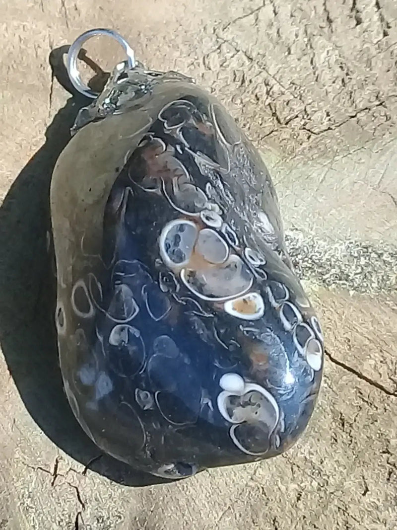 Chargez l&#39;image dans la visionneuse de la galerie, Agate Turitelle d’Uruguay pendentif Grade A++++ Agate Turitelles fossile pendentif
