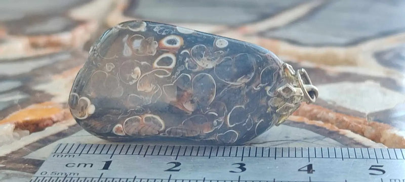 Chargez l&#39;image dans la visionneuse de la galerie, Agate Turitelle d’Uruguay pendentif Grade A++++ Agate Turitelles fossile pendentif
