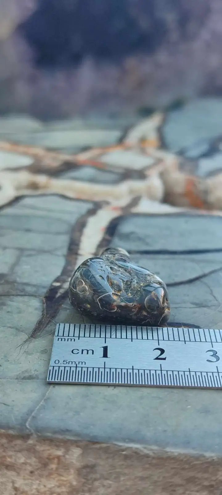 Chargez l&#39;image dans la visionneuse de la galerie, Agate Turitelle d’Uruguay pendentif Grade A++++ Agate Turitelles fossile pendentif
