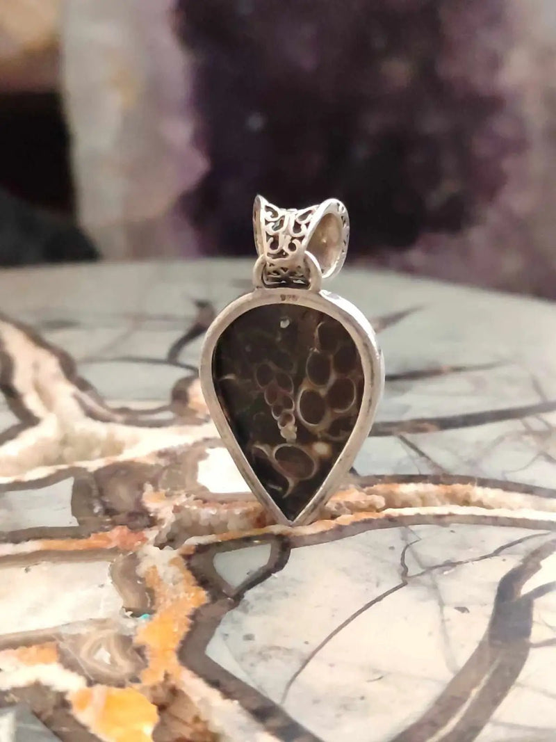 Chargez l&#39;image dans la visionneuse de la galerie, Agate Turitelle d’Uruguay pendentif monté sur argent 925 Grade A++++ Agate Turitelles fossile pendentif
