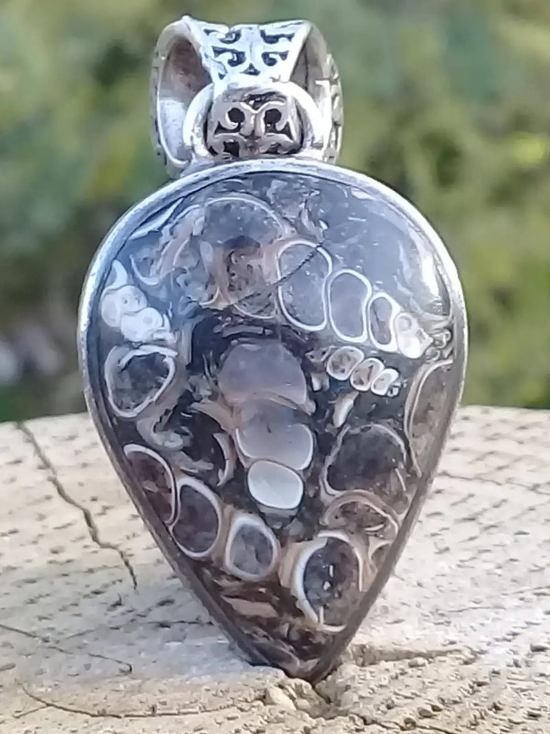 Chargez l&#39;image dans la visionneuse de la galerie, Agate Turitelle d’Uruguay pendentif monté sur argent 925 Grade A++++ Agate Turitelles fossile pendentif

