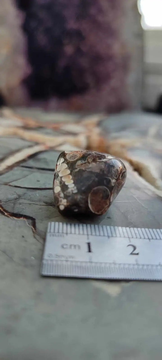 Agate Turitelle d’Uruguay pierre roulée Grade A++++ Agate Turitelle pierre roulée