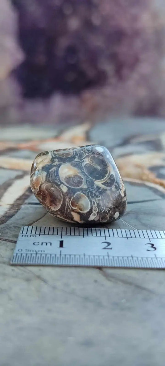 Agate Turitelle d’Uruguay pierre roulée Grade A++++ Agate Turitelle pierre roulée