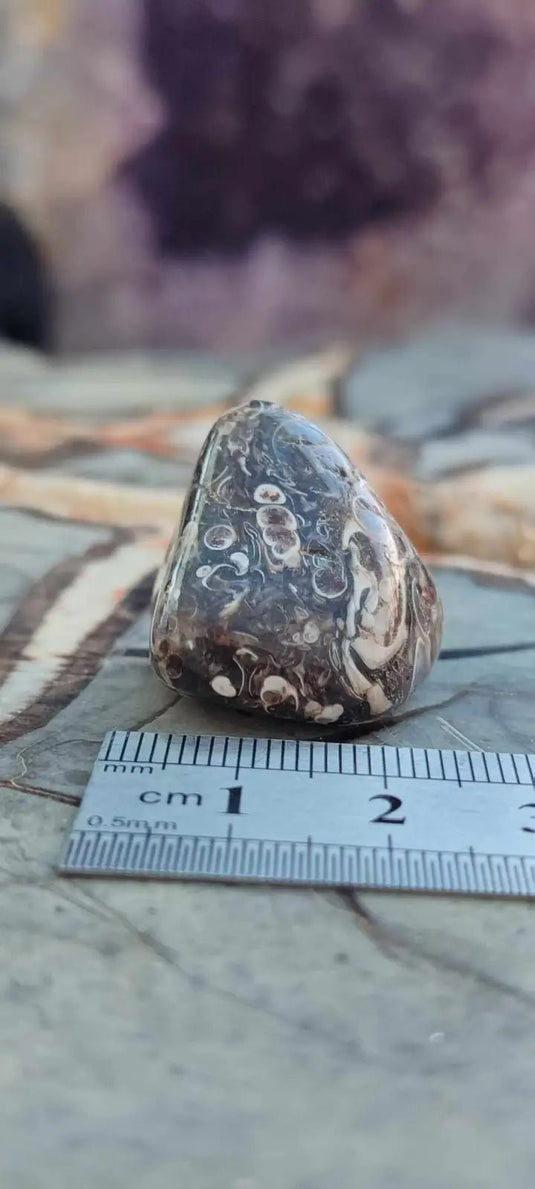 Agate Turitelle d’Uruguay pierre roulée Grade A++++ Agate Turitelle pierre roulée