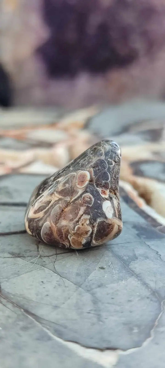 Agate Turitelle d’Uruguay pierre roulée Grade A++++ Agate Turitelle pierre roulée