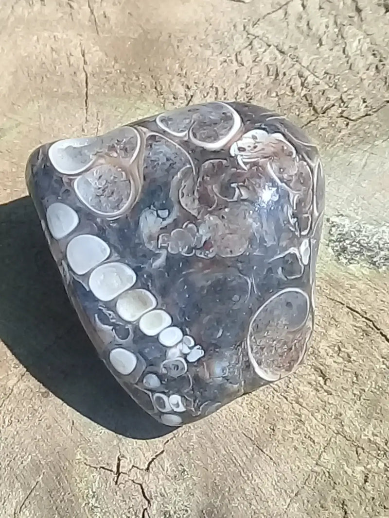 Chargez l&#39;image dans la visionneuse de la galerie, Agate Turitelle d’Uruguay pierre roulée Grade A++++ Agate Turitelle pierre roulée

