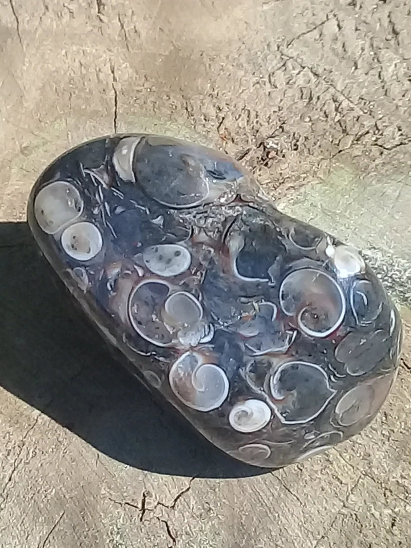 Cargue la imagen en el visor de la galería, Agate Turitelle d&#39;Urtuguay pierre roulée Grade A++++ Agate Turitelle pierre roulée Dans la besace du p&#39;tit Poucet (Boutique Officielle)
