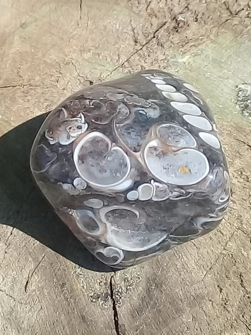 Chargez l&#39;image dans la visionneuse de la galerie, Agate Turitelle d&#39;Uruguay pierre roulée Grade A++++ Agate Turitelle pierre roulée Dans la besace du p&#39;tit Poucet (Boutique Officielle)
