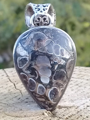 Agate Turitelle d'Uruguay pendentif monté sur argent 925 Grade A++++ Agate Turitelles fossile pendentif Dans la besace du p'tit Poucet (Boutique Officielle)