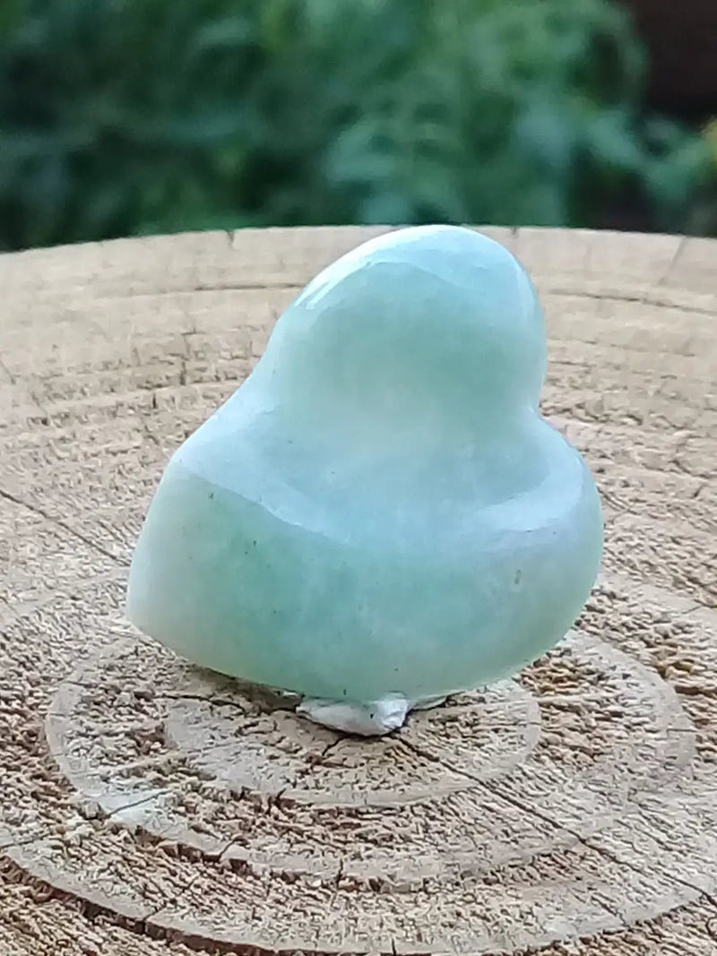 Load image into Gallery viewer, Amazonite Médiator guitare Grade A++++ Médiator guitare Amazonite
