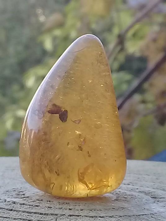 Ambre de Pologne roulée Grade A++++ Ambre véritable de Pologne roulée