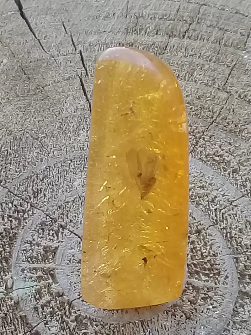 Load image into Gallery viewer, Ambre de Pologne roulée Grade A++++ Ambre véritable de Pologne roulée
