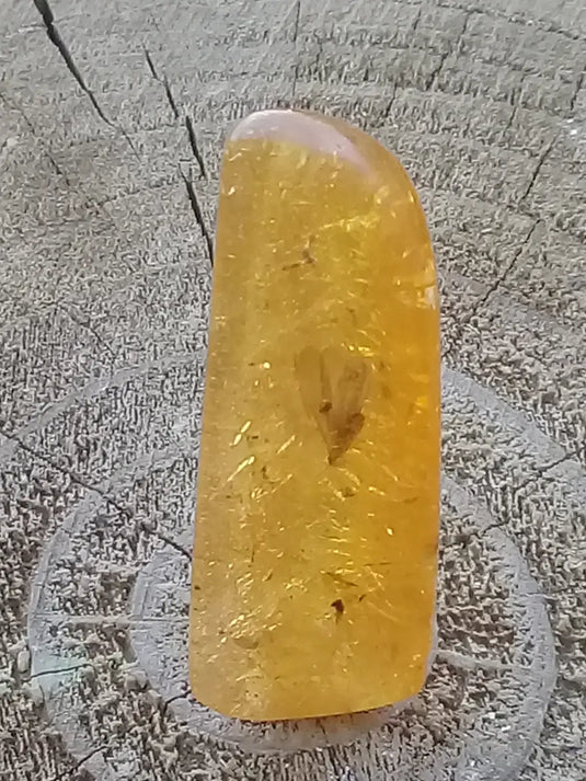 Ambre de Pologne roulée Grade A++++ Ambre véritable de Pologne roulée