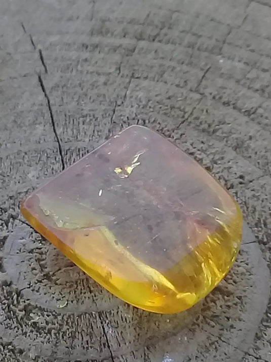 Ambre de Pologne roulée Grade A++++ Ambre véritable de Pologne roulée