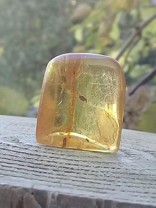 Ambre de Pologne roulée Grade A++++ Ambre véritable de Pologne roulée