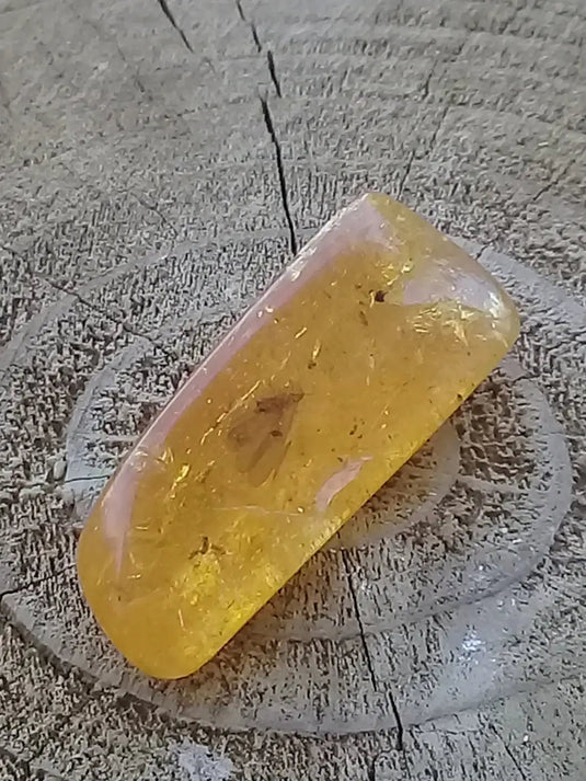 Ambre de Pologne roulée Grade A++++ Ambre véritable de Pologne roulée