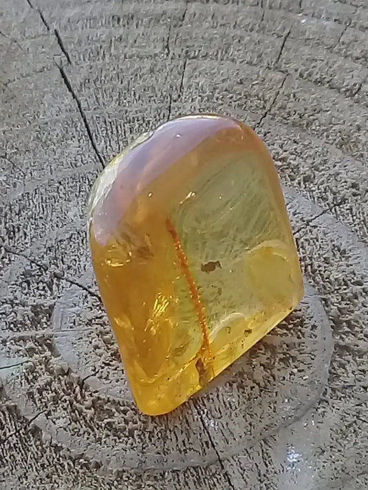 Ambre de Pologne roulée Grade A++++ Ambre véritable de Pologne roulée