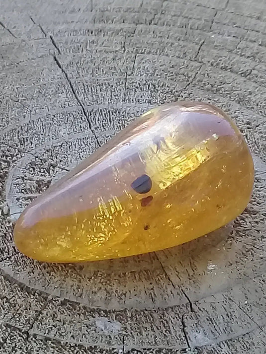 Ambre de Pologne roulée Grade A++++ Ambre véritable de Pologne roulée