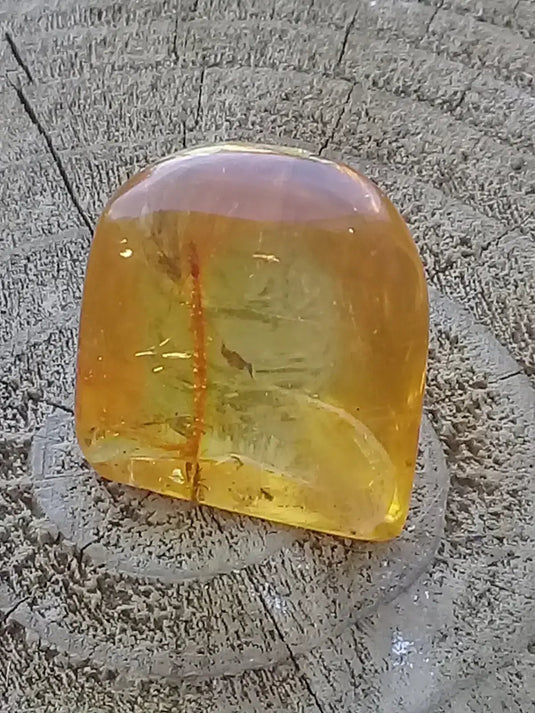 Ambre de Pologne roulée Grade A++++ Ambre véritable de Pologne roulée