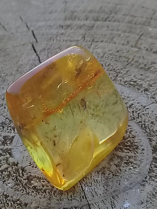 Ambre de Pologne roulée Grade A++++ Ambre véritable de Pologne roulée