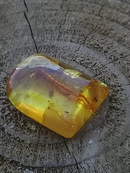 Ambre de Pologne roulée Grade A++++ Ambre véritable de Pologne roulée