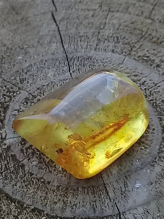 Ambre de Pologne roulée Grade A++++ Ambre véritable de Pologne roulée