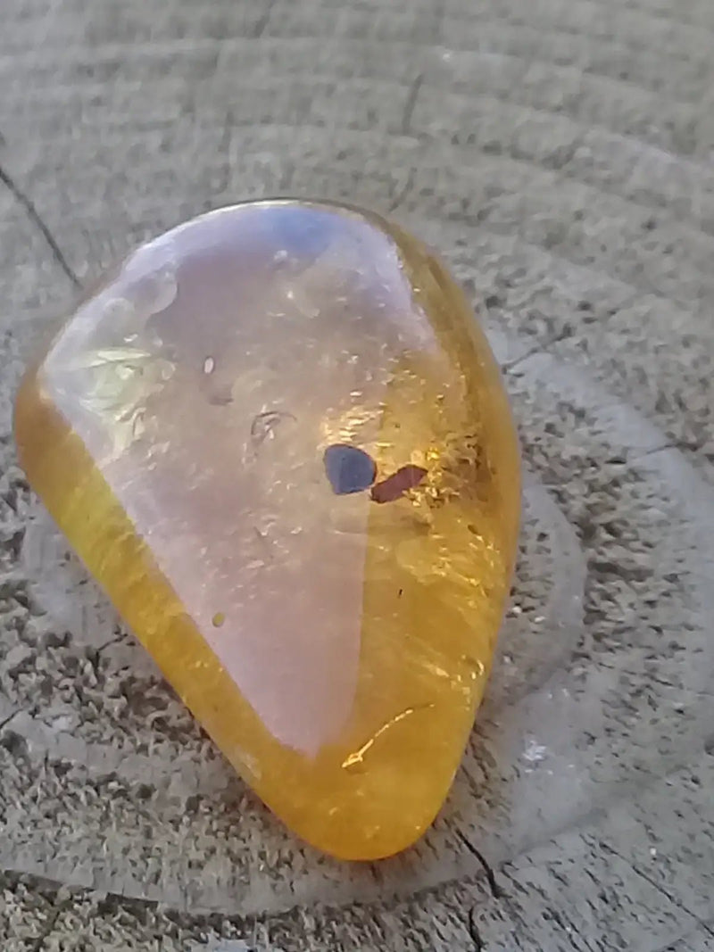 Load image into Gallery viewer, Ambre de Pologne roulée Grade A++++ Ambre véritable de Pologne roulée
