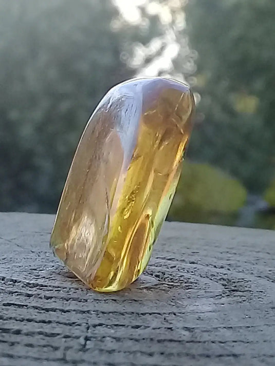 Ambre de Pologne roulée Grade A++++ Ambre véritable de Pologne roulée