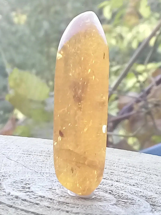 Ambre de Pologne roulée Grade A++++ Ambre véritable de Pologne roulée