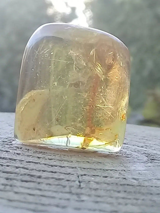 Ambre de Pologne roulée Grade A++++ Ambre véritable de Pologne roulée