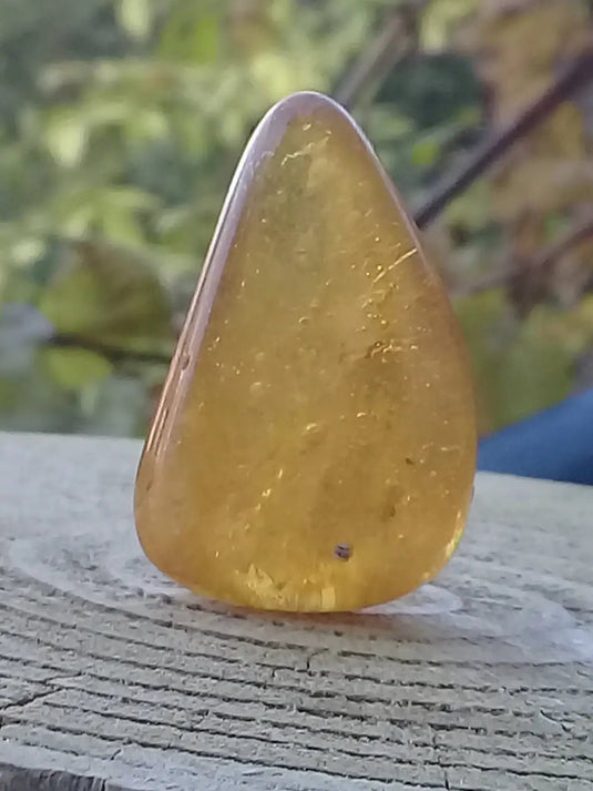 Ambre de Pologne roulée Grade A++++ Ambre véritable de Pologne roulée