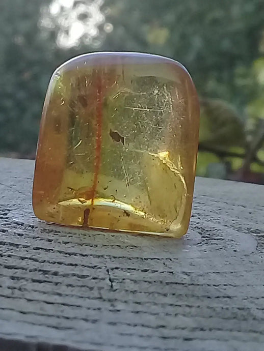 Ambre de Pologne roulée Grade A++++ Ambre véritable de Pologne roulée