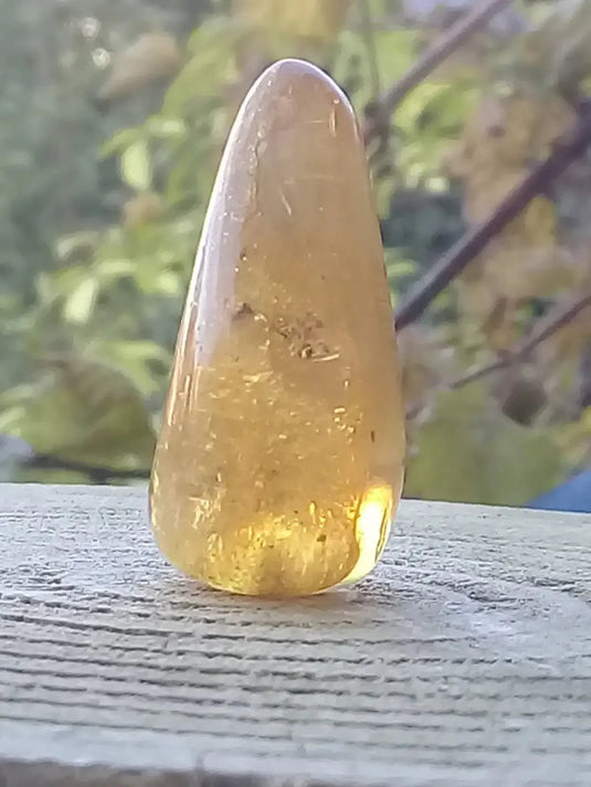 Ambre de Pologne roulée Grade A++++ Ambre véritable de Pologne roulée