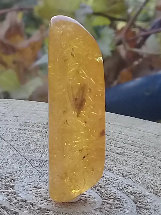 Ambre de Pologne roulée Grade A++++ Ambre véritable de Pologne roulée