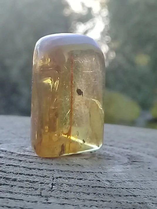 Ambre de Pologne roulée Grade A++++ Ambre véritable de Pologne roulée